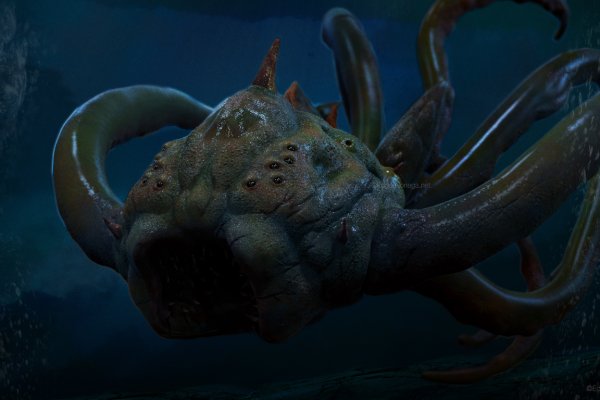 Kraken 12at