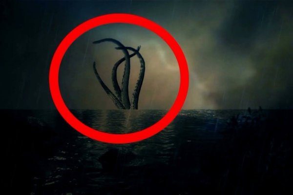 Kraken 18