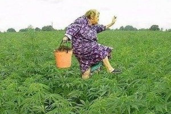Кракен не работает сайт