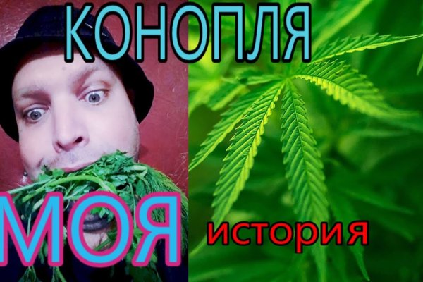 Кракен вход ссылка kraken torion net